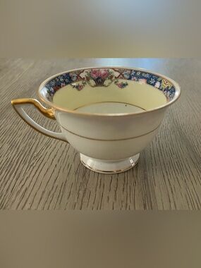 Thomas Bavaria Vintage Floral Gold-Trim Teacup
